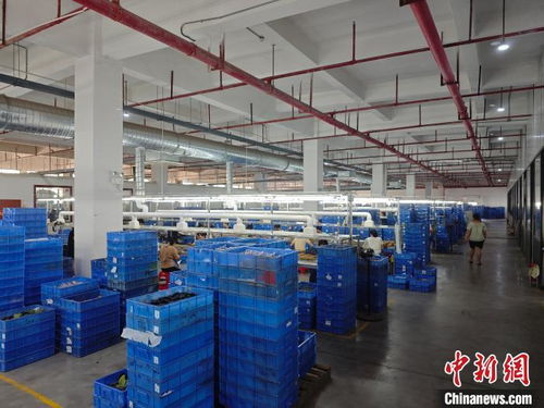 港资企业在赣扎根，与江西发展同频共振，一路繁花技术开发